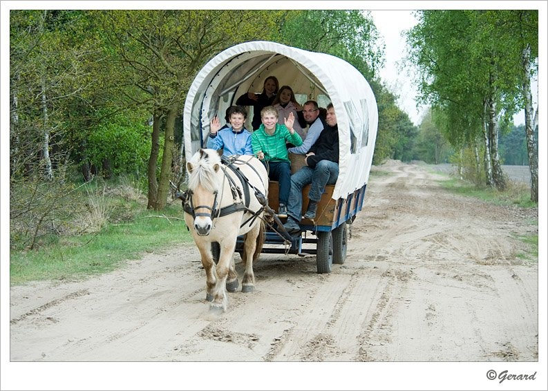 Beverbeekse heide.jpg - Relaxen op de Beverbeekse heide